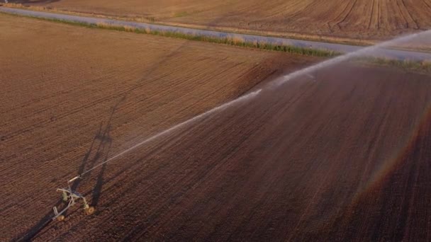 Luftaufnahme Der Bewässerung Braunem Landwirtschaftlichem Boden Bewässerungsanlagen Farm Field Cingoli — Stockvideo