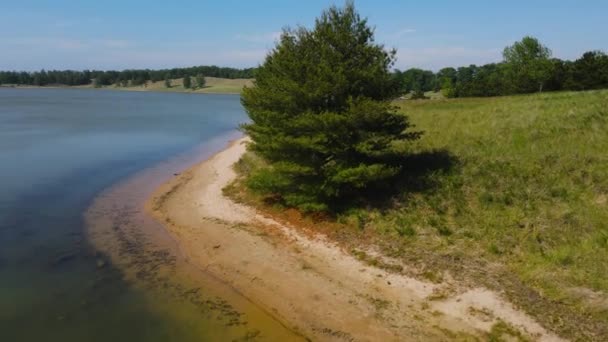 Track Lush Shoreline Pines Dune Grass — ストック動画