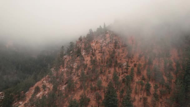 Mist Rolls Rocky Peak Scattered Evergreen Trees Cheyenne Canyon — Stockvideo