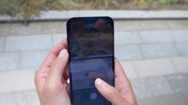 Parktaki Bir Heykelin Fotoğrafını Çekmek Için Akıllı Telefon Tutan Iki — Stok video