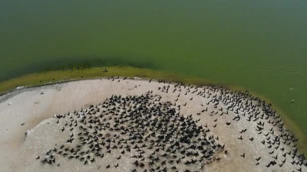 Inclinando Até Superfície Lago — Vídeo de Stock