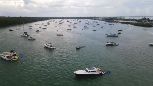Boats Yachts Sailboats Marina Harbor Miami Florida Aerial — Stockvideo