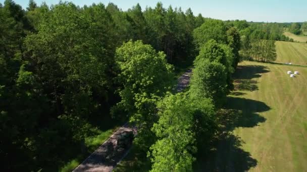 田舎道を飛ぶ緑のフィールドと森の木々の公園の隣に 美しい夏の日にポーランドの農村地帯の森と風景 — ストック動画