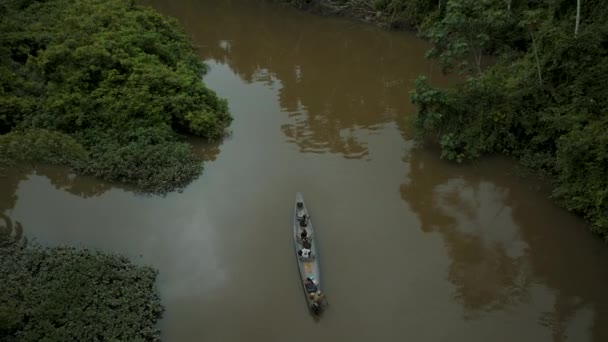 Amazon Nehrinde Peru Daki Orman Bitkileriyle Çevrili Tekneyle Gezen Turistin — Stok video