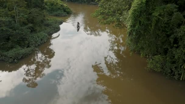 厄瓜多尔茂密植被下在亚马逊河上航行的小船的航景 无人驾驶飞机射击 — 图库视频影像