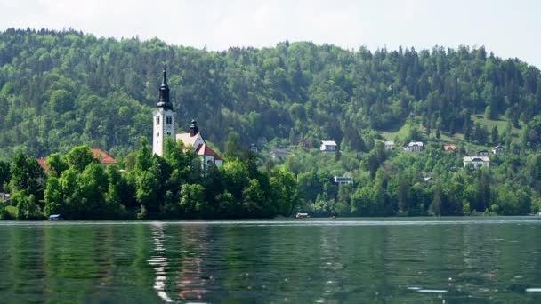 Szép Meleg Nyári Nap Nyugodt Bled Tónál Szlovéniában Templommal Közepén — Stock videók