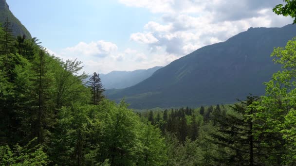 Panorâmica Vale Pelas Árvores Dos Alpes Europeus Parque Nacional Triglav — Vídeo de Stock