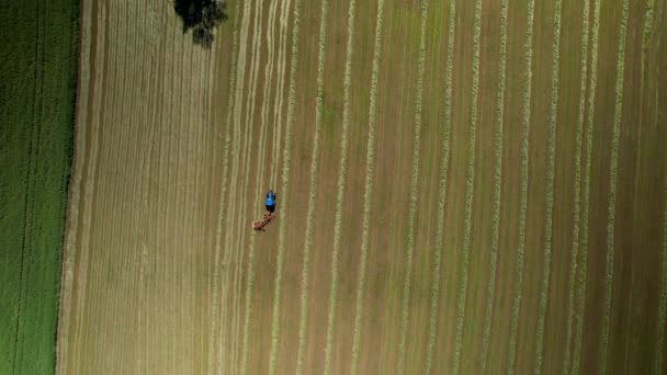 Top Aerial View Agricultural Machinery Processing Farm Field — ストック動画