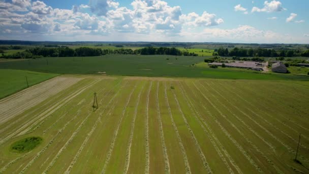 Drone Footage Agricultural Field Countryside Europe — ストック動画