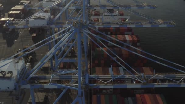 Close Structure Container Cranes Terminal Port Tacoma Washington Usa Zpětný — Stock video