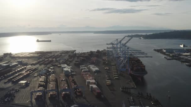 在哈士奇码头堆满了联运集装箱 在华盛顿塔科马港开始装卸集装箱 — 图库视频影像