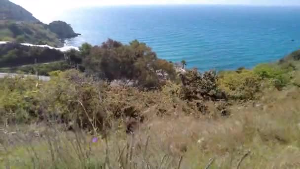 Pajitas Hierba Viento Vista Playa Maro Fuera Nerja Hermoso Paisaje — Vídeos de Stock