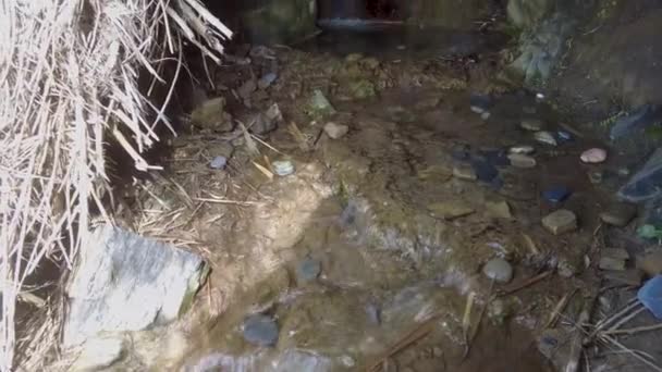 Small Cave Water Pouring Background Small Stones Clear Water Small — Wideo stockowe