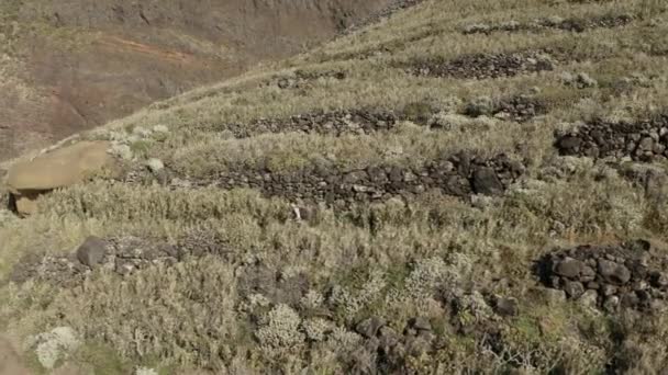 Aerial Right Left Pan Girl Hiking Coast Trail Madeira — Vídeo de stock