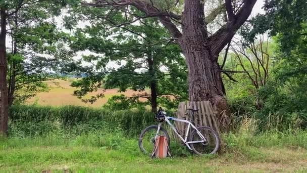 Spor Dağ Bisikleti Doğada Duruyor Motosikletli Mola Verdi Arka Planda — Stok video
