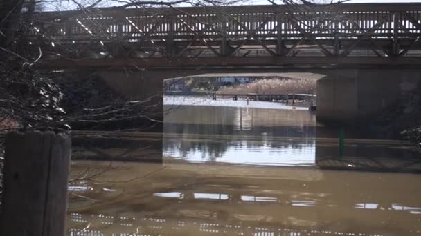 Rising Reveal Bridge Small Water River Tree — Wideo stockowe