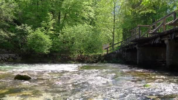 Crystal Clear Water Flowing Gentle Stream Bridge — Stock Video