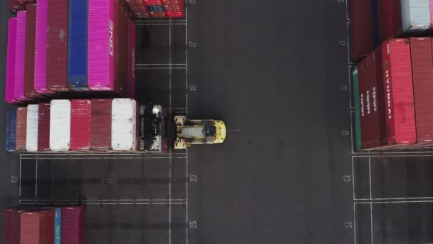 Container Gabelstapler Bringen Leere Intermodale Auf Den Stapel Terminal Hafen — Stockvideo