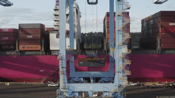 Industrial Crane Lifting Intermodal Container Cargo Vessel Docked Port Tacoma — Vídeos de Stock