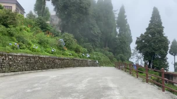 Bakifrån Glad Ung Indisk Flicka Promenader Genom Bergsvägar Njuter Sin — Stockvideo