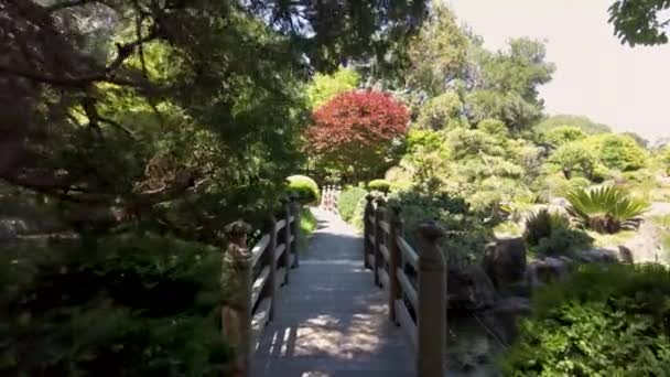 加州圣马特奥中央公园 美丽的木桥走向五彩缤纷的花朵和植物 — 图库视频影像