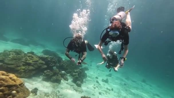 Beautiful Group Athletic Divers Slowly Swim Camera Adjust Scuba Diving — 图库视频影像