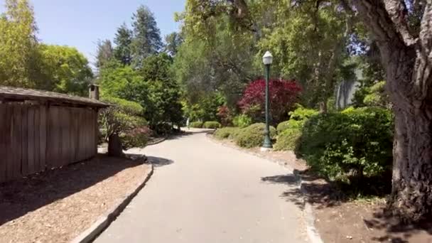 Having Tranquil Walk Peaceful Central Park San Mateo California — Video