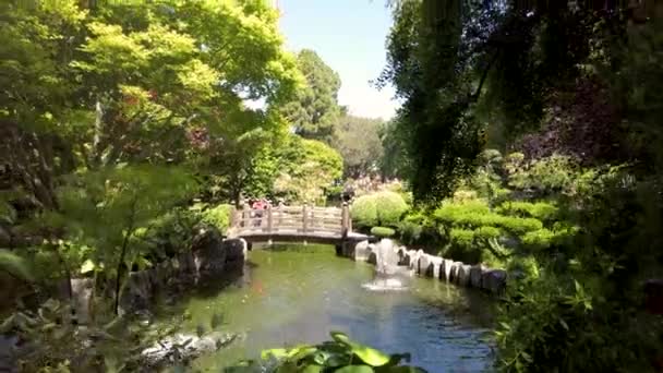 Kranich Aufnahme Des Wunderbaren Japanischen Gartens San Mateo Central Park — Stockvideo