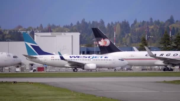 Tracking Shot Westjet Airplane Taxiing Airport — ストック動画