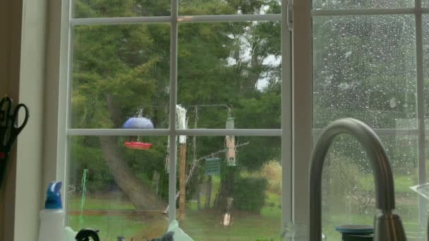 Kitchen Interior View Rainy Day Looking Window Bird Feeders Moving — Vídeos de Stock