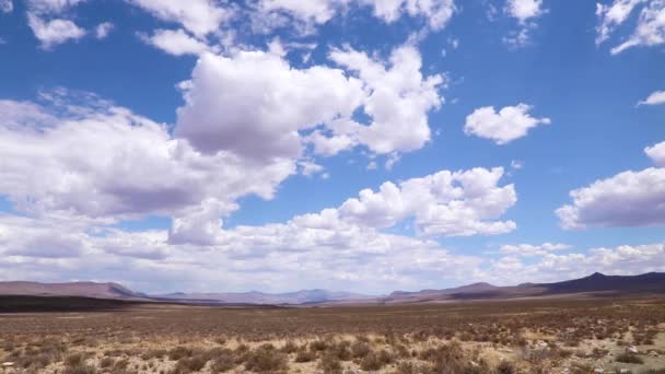 Grasslands Great Karoo — Stockvideo