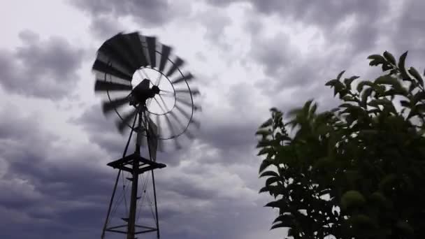 Windmühlen Der Großen Karoo — Stockvideo
