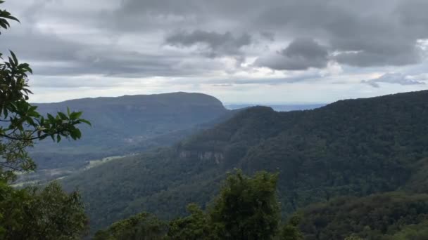 Bella Vista Panoramica Sulle Montagne Foresta Pluviale Australiana — Video Stock