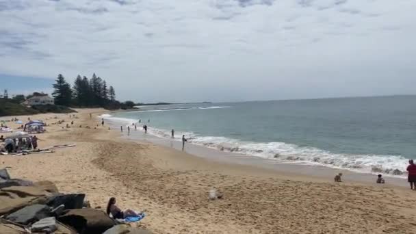 Панорама Queensland Sunshine Coast Beach Moffatt Beach — стокове відео
