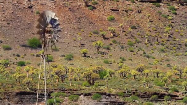 Ветряная Мельница Перед Лесом Колчана — стоковое видео