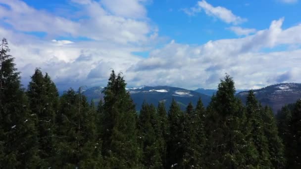 Flyover Forest Tree Tops Revealing Majestic Mountainous Scenery Kolizta Mount — Stockvideo