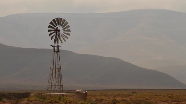 Molino Viento Medio Del Karoo — Vídeos de Stock