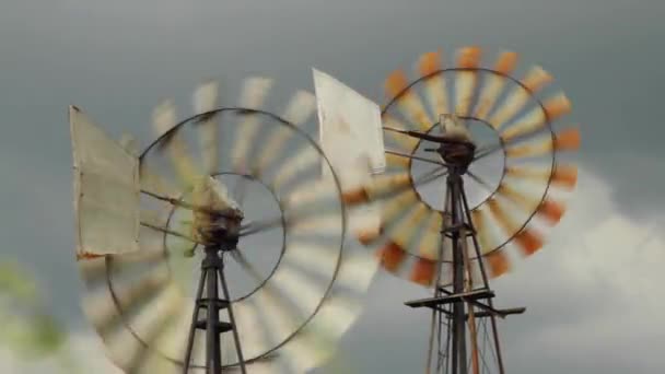 Moinhos Vento Nos Campos Agrícolas — Vídeo de Stock