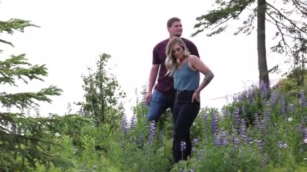 Couple Lookout Spot Picking Lupins Kenai Alaska — Stockvideo