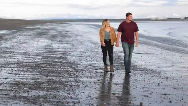 在阿拉斯加基奈海滩散步的情侣 — 图库视频影像
