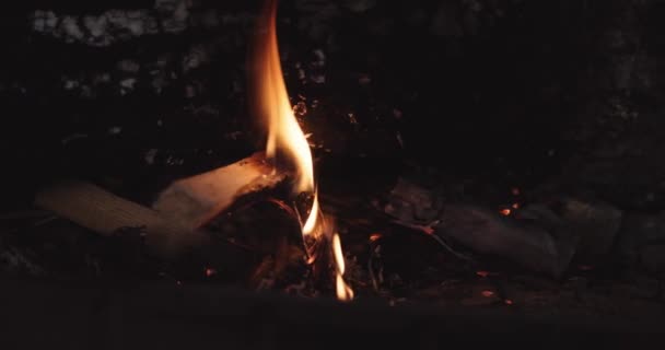 Bright Flame Burning Firewood Domestic Fireplace Handheld View — Stock Video