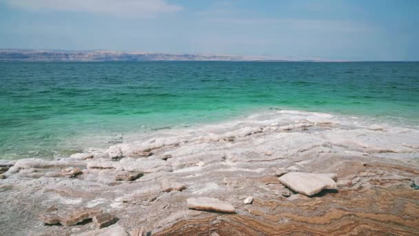 Dead Sea Salt Beach Jordan Close Israel Border Clear Blue — Videoclip de stoc