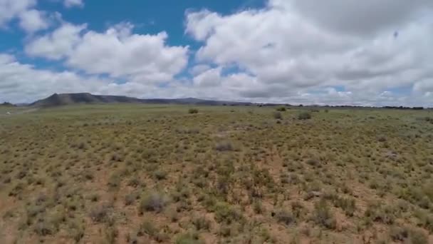 Luchtfoto Van Karoo Graslanden — Stockvideo