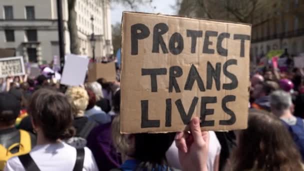 Протестующий Держит Картонный Плакат Надписью Защита Трансгендерных Прав Трансгендерном Протесте — стоковое видео