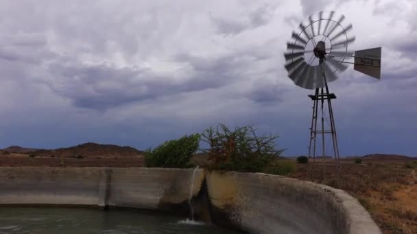 Windmills Great Karoo Semi Desert — Stockvideo