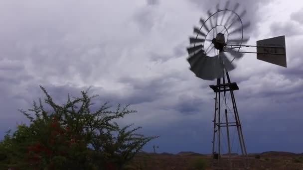 Windmühlen Der Großen Karoo — Stockvideo