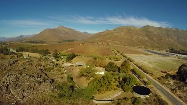 Aerial View Vineyard Hexriver Valley — Stockvideo