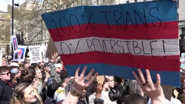 Protestor Holds Cardboard Placard Reads 100 Trans Reversible Trans Rights — Stockvideo