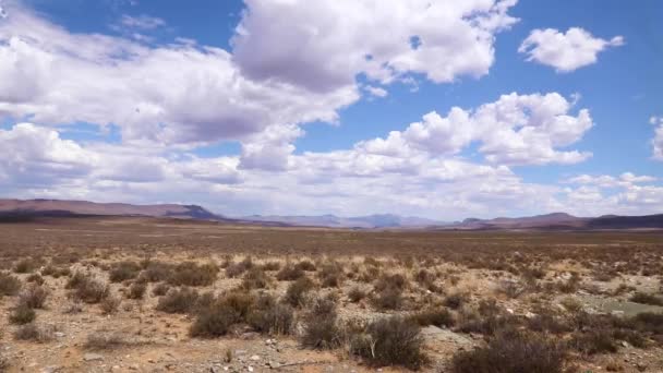 Grasslands Great Karoo — Stockvideo