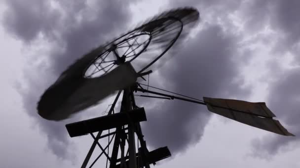 Ветряные Мельницы Великого Кару — стоковое видео
